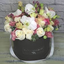 Check spelling or type a new query. Blooming Box Home Facebook