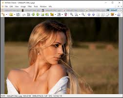 Xnview mp/classic is a free image viewer to easily open and edit your photo file. Xnview Full Xnview The Best Windows Photo Viewer Image Resizer And Batch Converter Download Xnview For Windows Pc From Filehorse