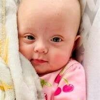 Hadley Grace Hollis Obituary