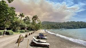 A forest fire that broke out in turkey's southwestern muğla province on june 27 has been brought under control, said a local official. X4mjlcwloklxbm
