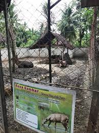 Check spelling or type a new query. The Small Zoo In Taman Rusa Kompasiana Com