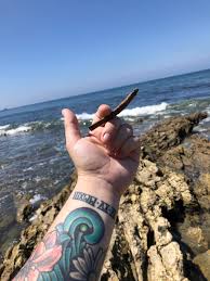 The tide now in point san pedro, ca is rising. Smoke Spot Today At The San Pedro Tide Pools Met Lots Of Little Crab Friends Trees