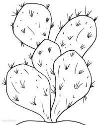 Os desenhos de natal para colorir e imprimir fazem muito sucesso no mês de dezembro, eles estão disponíveis nas imagens do google, de outros os desenhos de natal para colorir e imprimir também podem ser usados pelos pais, que podem imprimir alguns modelos e fazer a alegria da. Desenhos De Cactos Para Imprimir E Colorir Flores Para Colorir