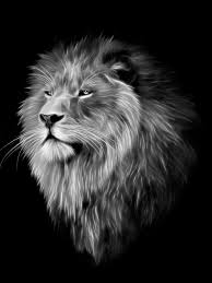 Download, share or upload your own one! Black And White Lion Wallpaper Hd Posted By Ethan Cunningham