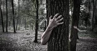 The 12 astrological signs of the zodiac are each considered to occupy 30 degrees of its great circle. This Is The Creepiest Thing About You According To Your Sign