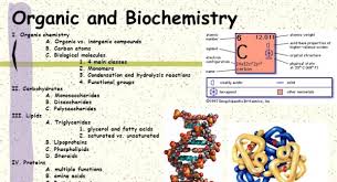 We send trivia questions and personality tests every week to your inbox. Biochemistry And Organic Chemistry Quiz Test Quiz Accurate Personality Test Trivia Ultimate Game Questions Answers Quizzcreator Com