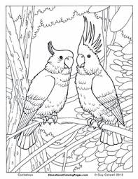 Posted in nature coloring pages. Jungle Adult Coloring Pages Adult Coloring Pages Colorsuki Com Free To Print And Color