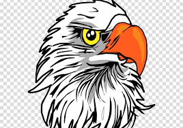 Download Gambar Logo Elang Download Download Eagle Head Png Clipart Bald Eagle Clip Art Gambar Alam Sayap Pena Hewan Terbang Mar Animasi Gambar Burung Gambar