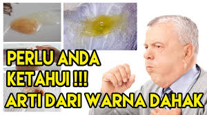 Saat batuk itulah dahak bersamaan dengan darah akan keluar. Batuk Dengan Kahak Coklat