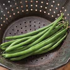 Plants are extremely productive— they flourished both in the greenhouse and outdoors in the garden. Jade Organic Bean Seed Johnny S Selected Seeds