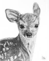 Fawn Pencil Drawing Giclee Print Baby Deer Baby Animals Deer Etsy Baby Animal Drawings Realistic Animal Drawings Animal Drawings Sketches