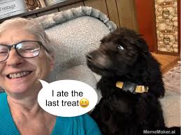 CHAOS: “Bad mama”!