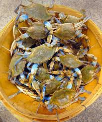 How To Buy Crabs Baltimore Sun