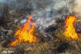 As of monday night, the fire had been mapped at an estimated 900 hectares by the. Penticton Fire Department Says High Winds Are Coming And To Be On Alert For Wildfires Penticton News Castanet Net