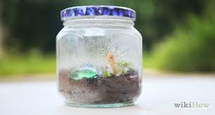 Giving beetles a drink may keep them around longer. How To Take Care Of A Ladybug 11 Steps With Pictures Wikihow