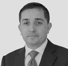 Activities Report of the Board of Directors and of the Committees