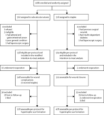 The amount of time staples are kept in varies with the wound and healing rate of the patient. Subcuticular Sutures Versus Staples For Skin Closure After Open Gastrointestinal Surgery A Phase 3 Multicentre Open Label Randomised Controlled Trial The Lancet