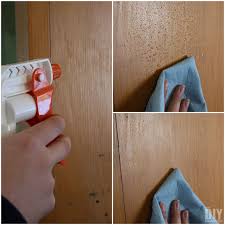 Dip a soft sponge in the tsp solution. How To Paint Kitchen Cabinets Budget Friendly Kitchen Makeover