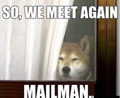 The 14 Funniest Akita Inu Memes Of All Time Dog Quotes Funny Funny Dogs Funny Animal Pictures