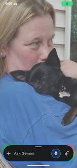 Hey Tabby its almost Christmas .Just wanted you to know how much I miss you  .I think of you often .So many memories ,so many smiles ,so many laughs we  had some