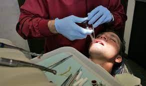 No More Root Canals Scientists Aim To Regrow Teeth Using Stem Cells Root Canal Holistic Dentistry Dental Care Clinic