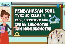 Check & try again with correct worksheet name. Berita Gerak Lokomotor Dan Non Lokomotor Terbaru Hari Ini Bobo