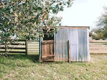 How can I hide my metal shed?