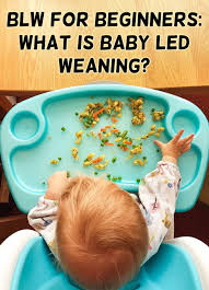 View blw's stock price, price target, dividend, earnings, financials, forecast, insider trades, news, and sec filings at nyse:blw. Blw For Beginners What Is Baby Led Weaning Easy Cheesy Vegetarian