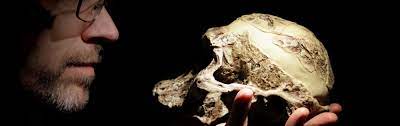 Jun 28, 2021 · irenäus von lyon: Humanevolution Kaltes Klima Sorgt Fur Grosse Menschen Spektrum Der Wissenschaft
