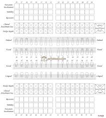 Periodontal Chart Momo Orthodontics Dental Y Dentistry