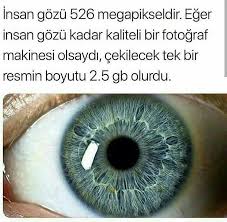 Bunu Biliyor Muydunuz Biliyor Muydunuz Bilgi Gercekler