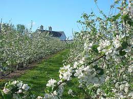 Integrated pest management in european apple orchards. Fruit 2012 New England Tree Fruit Management Guide Umass Center For Agriculture Food And The Environment