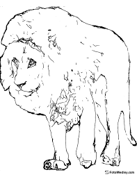 1) if you have javascript enabled you can click the print link in the top half of the page and it will automatically print the coloring page only and ignore the advertising and navigation at the top of the page. Fotomedley Lion Free Coloring Page