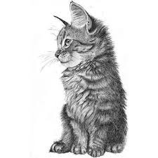 Pinterest Animal Drawings Cat Art Animal Art