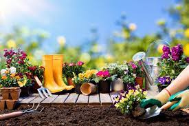Der garten im juli, die blütenfülle in den beeten steigt und die wiesenstücken sind gemäht. Garten Im Juli Tipps Und Tricks Die Man Beachten Muss