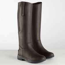 Image result for Brown 2024 Fleet