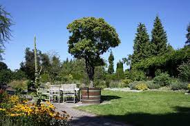 Der loki schmidt garten, ursprünglich neuer botanischer garten genannt, ist ein öffentlicher park, der zur uni hamburg gehört. Loki Schmidt Garten Hamburg Gruenestreiben De