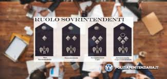 La professionalizzazione e la demilitarizzazione furono i motivi principali per convincere poi lo stato a creare la nuova organizzazione. Concorso 2851 Sovrintendente Di Polizia Penitenziaria Esiti Riunione Al Dipartimento