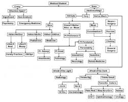 Medical Careers A Flow Chart On How To Choose A Medical
