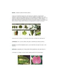 Check spelling or type a new query. Herbarium Babalawo Fagbenusola Pdf Txt