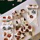 Eco-Printing with Botanicals and Foliage: A Silk Sash event image