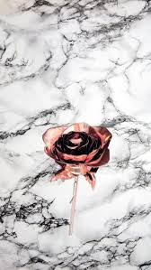 Laptop Wallpaper Rose Gold Laptop Wallpaper Related images with rose gold aesthetic background laptop wallpaper aesthetic ariana grande pink rose gold aesthetic background laptop. laptop wallpaper rose gold laptop
