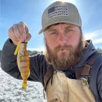 Donald Britt Email & Phone Number