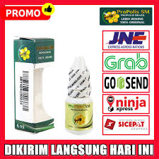 Komplikasi otitis media supuratif kronis tipe bahaya. Obat Tetes Sakit Telinga Dan Keluar Cairan Coklat Otitis Media Akut Otitis Media Supuratif Kronik Shopee Indonesia