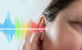 Image result for Tinnitus