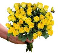 Yellow roses online in india. Royalty Free Photo Bouquet Of Yellow Rose Flower Pickpik