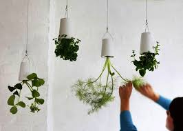 Planting your house plants with some caution is a prior step but if you are aware of it and are wondering about some cool and contemporary container gardening ideas, you have come across some fine piece of writing. 11 Innovative Fun Indoor Planter Ideas Garden Lovers Club