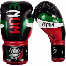 Best Muay Thai Gloves In 2019 Buyers Guide And Review