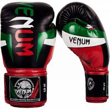 Best Muay Thai Gloves In 2019 Buyers Guide And Review