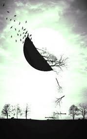 Ruyada Kus Kaynana Gormek Ruyam Hayir Mi